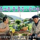 더감법률사무소