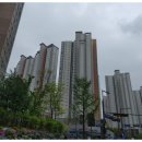 (주)펫스테이트 이미지