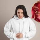 레몬트리약국 이미지