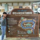 천안시 국민여가캠핑장 이미지