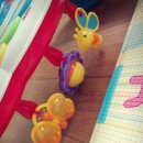 효자체육관 이미지