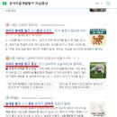 종로동물병원 | 종로동물병원 미래지에서 슬개골 탈구 수술하고 온 후기