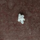 화곡정미소 이미지