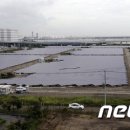 SB 태양광발전소 이미지