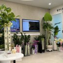 서울아산맥외과의원 이미지