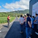 금굴농장 이미지