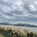 제천여행 Day1 리솜 포레스트 빌라 S30