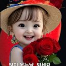 참숯사랑 네이버블로그