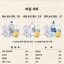 내자살롱