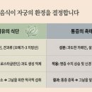 일상의한의원 네이버블로그