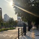 GS25 수원뉴타운점 | 휴학하고 F력 풀충전한 사람: 나야..~.,~