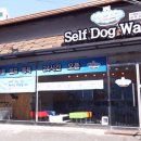 도그워시 이미지