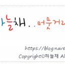 초록담쟁이공방