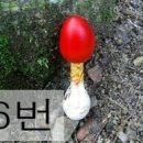독버섯 이미지