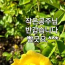 공주님빵