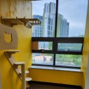 살롱아르르 이미지