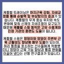 벨 트레이닝 이미지