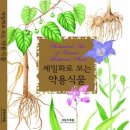 약용식물