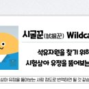 설도석유 이미지