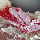 마야무역 | [고고약물] 신라도 환장한 붉은 독 황화수은, 마야도 괴롭혔다