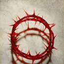 가시(thorn)