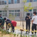 홍광초등학교 이미지