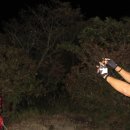 보성고등학교 이미지