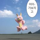 후쿠오카3박4일 겨울여행/스시아츠가,텐진다이묘거리,스미게키죠 무사시자/캐널시티쇼핑