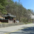 구례장씨선덕비각 이미지