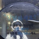 초막목장 | 겨울 혼자국내여행 1DAY - 태백(맛나분식/몽토랑산양목장/초막고갈두/태백산민박촌)