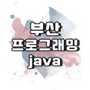 부산프로그래밍 자비 부담 없이 공부하고 취업성공할 수 있는 이곳 어떤가요?