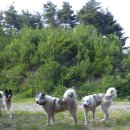 용성한의원 이미지