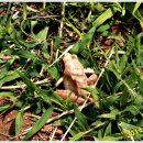 이부산농장 이미지