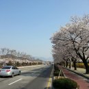 창원대로 이미지