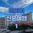 새우트럭, Dole 파인애플농장,와이켈레 아울렛, 한국식당 노랑키친 (팜투어패키지), 레오나즈베이커리
