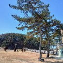 블루오션리조트홀리데이파크 이미지