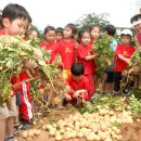 정진수농장 이미지