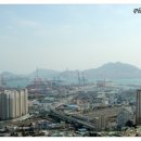 호동상회