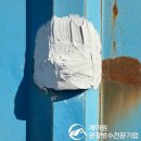공주볼트