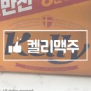 켈리 맥주 내 돈 내산 찐 후기 맥주추천