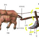 쟁기 이미지