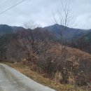 은골농원 이미지