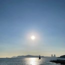 아바타게임스튜디오 | 돌비 비전(Dolby Vision): <아바타 3>를 관람하기 전 알아야 될 기술 / 돌비시네마