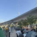 오도이촌 | 서울세계불꽃축제 명당 이촌한강공원 관람 후기