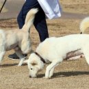 송강동물병원 이미지