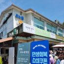 담양 메타쉐쿼이아길&죽녹원 힐링 여행 후기