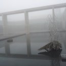 남녕고등학교 (한라병원방면) 이미지