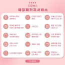 [Wedding] 전주 포토부스 그레이스K 완주점(비밀의 정원) 티오박스 계약 후기