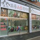 산삼감정협회 Daum카페