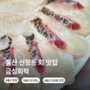 금성회락